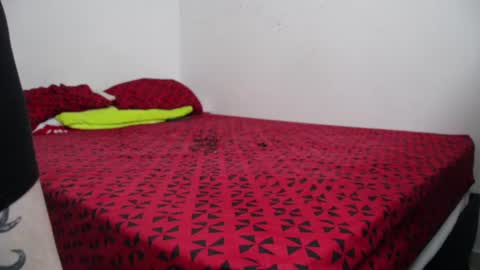 xcamtentationx online show from 12/08/24, 02:49