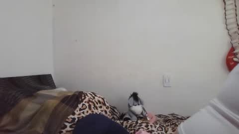 Snapshot of xime5144838 chatting on 02/16/25, 09:16 Ximena online show from 02/16/25, 09:16