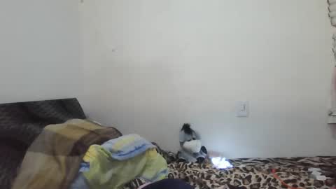 Snapshot of xime5144838 chatting on 02/23/25, 01:35 Ximena online show from 02/23/25, 01:35