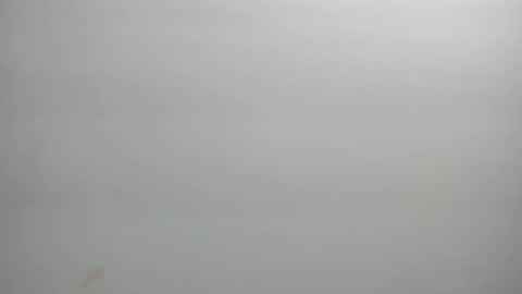 Xime  online show from 02/21/26, 03:07