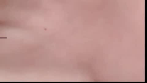 xinbao799322 online show from 11/14/25, 02:05