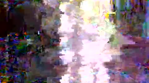 xixo6969 online show from 02/03/26, 02:53