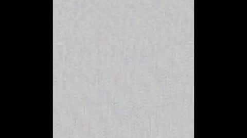 JSSD online show from 11/23/25, 08:52