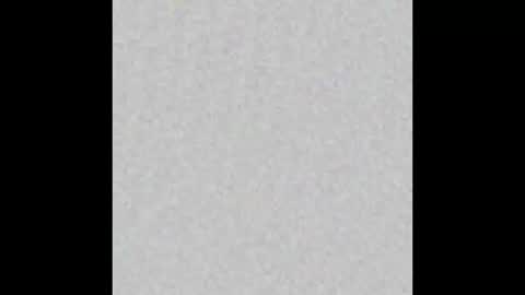 JSSD online show from 11/24/25, 11:54