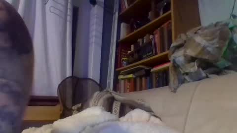 Snapshot of xlpack69 chatting on 12/17/24, 11:16 John online show from 12/17/24, 11:16