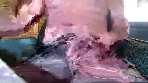 xmen43hot online show from 09/18/25, 08:49