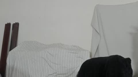 MetalstudMaster online show from 02/09/26, 08:13