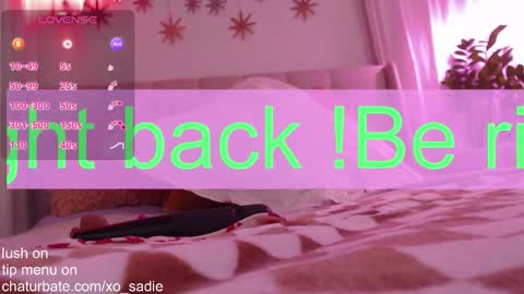 Xo Sadie online show from 02/02/26, 06:01