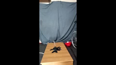 xoomia3 online show from 01/10/26, 10:28