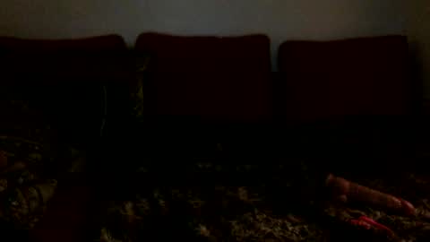 3 online show from 02/16/25, 06:43