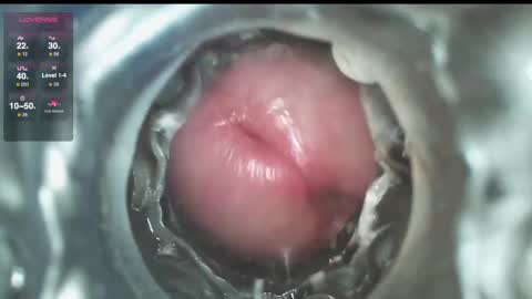 xoxowtf online show from 12/01/24, 09:48