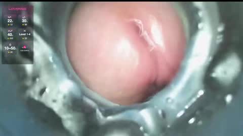 xoxowtf online show from 12/09/24, 03:54