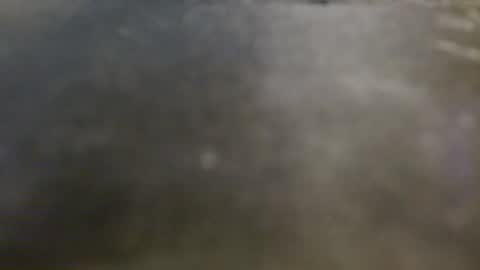 cum4you online show from 05/01/26, 03:22