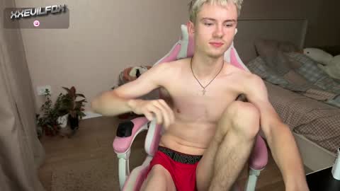 Fox online show from 12/08/24, 05:22