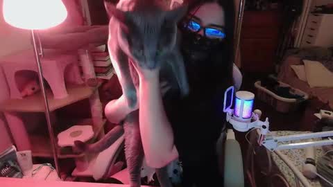 coco online show from 11/22/25, 08:46