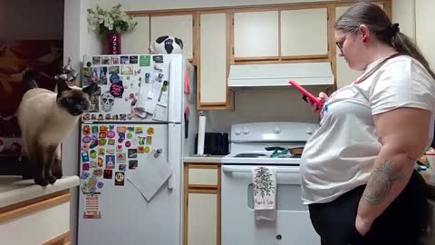 Snapshot of xxstrawberryjanexx chatting on 12/14/24, 05:07 Strawberry Jane online show from 12/14/24, 05:07