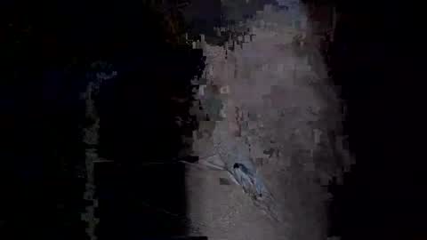 Snapshot of xxverabbyxx chatting on 01/14/26, 11:53 Vera online show from 01/14/26, 11:53