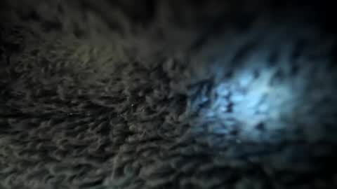 Snapshot of xxxdanidoomsdayxxx chatting on 01/05/25, 05:51 Danielle online show from 01/05/25, 05:51