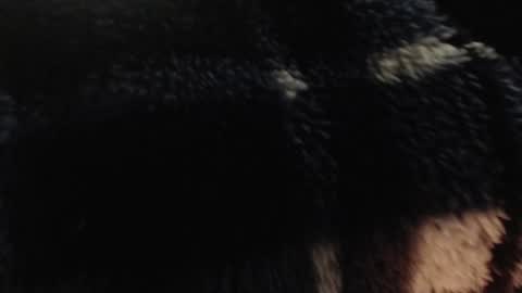 xxxking89 online show from 12/14/24, 05:36