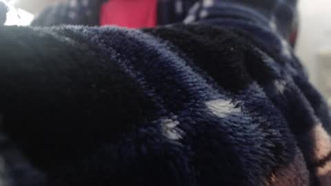 xxxking89 online show from 02/01/25, 04:00