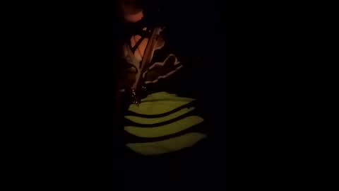 xxxtiffinyxxx online show from 04/19/26, 03:28