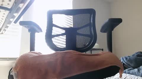 yahbuddy online show from 10/03/25, 07:55