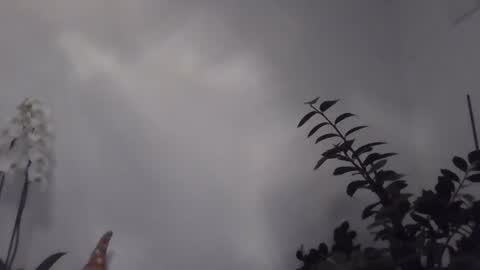 yakijoe online show from 03/01/26, 10:56