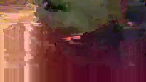 yangolox3 online show from 02/15/26, 05:48