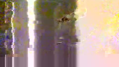 Snapshot of yangolox3 chatting on 05/12/26, 02:30 yangolox3 online show from 05/12/26, 02:30