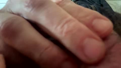 yappe75 online show from 04/21/26, 11:16