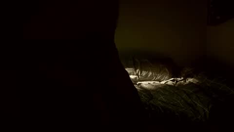 yaradeeyarama online show from 02/08/26, 03:48