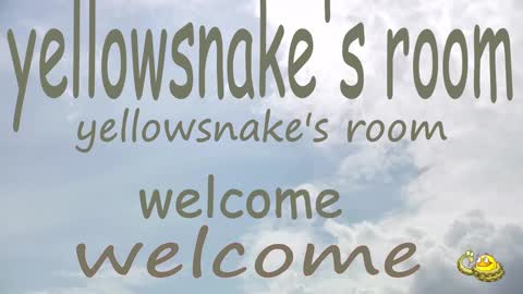 Snapshot of yellowsnakes chatting on 09/30/25, 10:37 . y e l l o w s n a k e s . online show from 09/30/25, 10:37