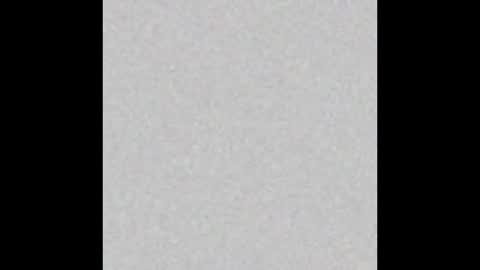 .     y e l l o w s n a k e s       . online show from 11/30/25, 06:12