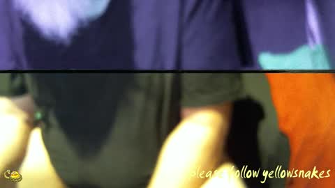 .     y e l l o w s n a k e s       . online show from 12/17/25, 11:33