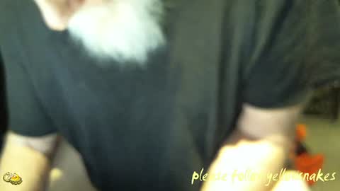 .     y e l l o w s n a k e s       . online show from 01/14/26, 01:50