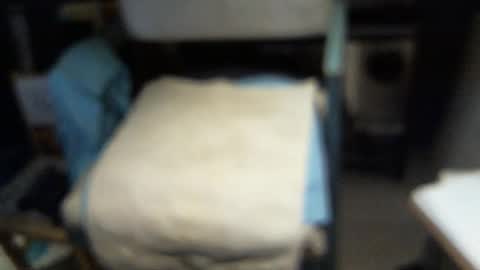 .     y e l l o w s n a k e s       . online show from 02/03/26, 04:43