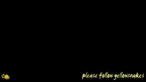 .     y e l l o w s n a k e s       . online show from 02/08/26, 09:34