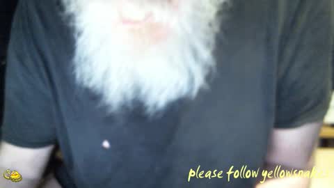 .     y e l l o w s n a k e s       . online show from 02/10/26, 09:57