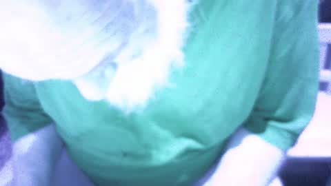 .     y e l l o w s n a k e s       . online show from 02/16/26, 09:00