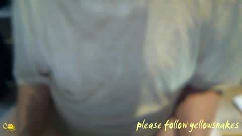 .     y e l l o w s n a k e s       . online show from 04/01/26, 02:25