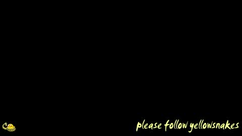 .     y e l l o w s n a k e s       . online show from 04/12/26, 10:53