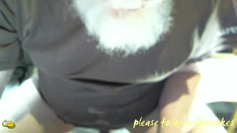 .     y e l l o w s n a k e s       . online show from 04/19/26, 06:10