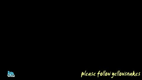 .     y e l l o w s n a k e s       . online show from 05/12/26, 05:10