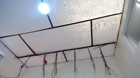 YEM online show from 03/23/26, 03:38