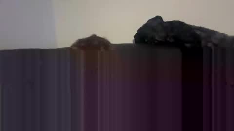 Self fucking fucktoy online show from 04/26/26, 01:58