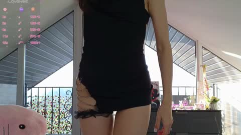  Wilma  online show from 01/27/25, 01:19