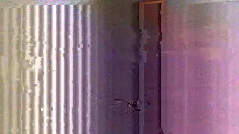 Snapshot of yorel64 chatting on 02/16/25, 06:10 yorel64 online show from 02/16/25, 06:10