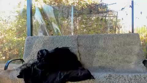 private on 18 per minute start private 500 tokensOnlyfans  online show from 10/29/25, 09:11