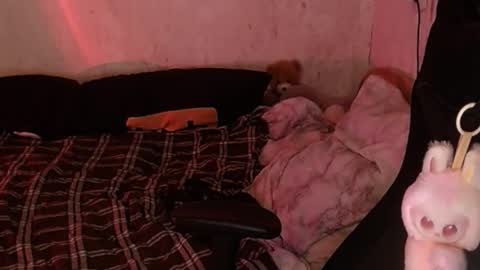 your_8a8y online show from 11/18/25, 04:33