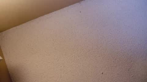 Sophiestar online show from 04/21/26, 07:36